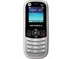 Motorola WX181,
cena na Allegro: 99,00 zł,
sieć: GSM 900, GSM 1800

