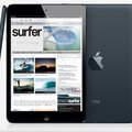 Zdjęcie Apple iPad mini